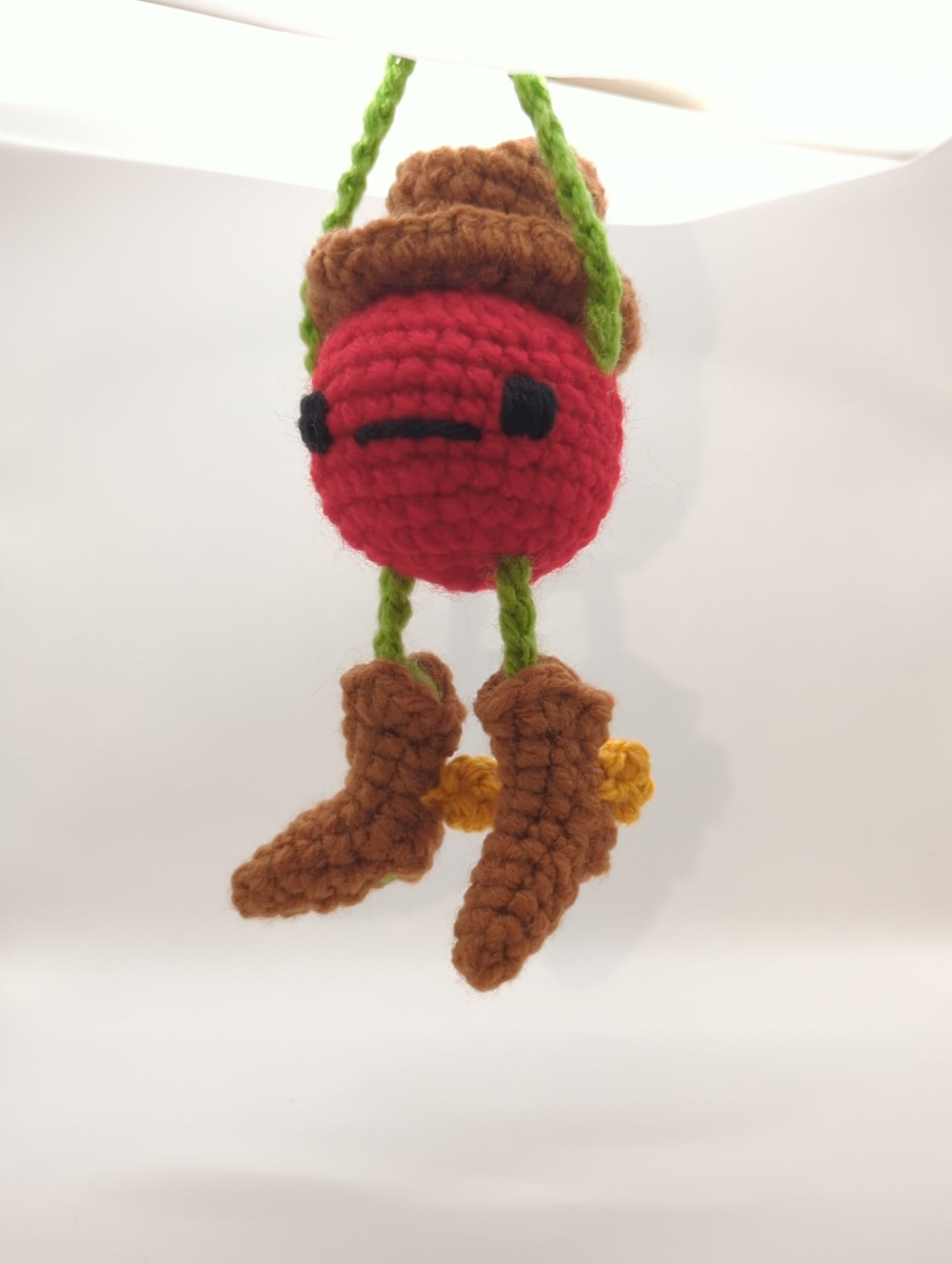 Tomato Bag Buddy!