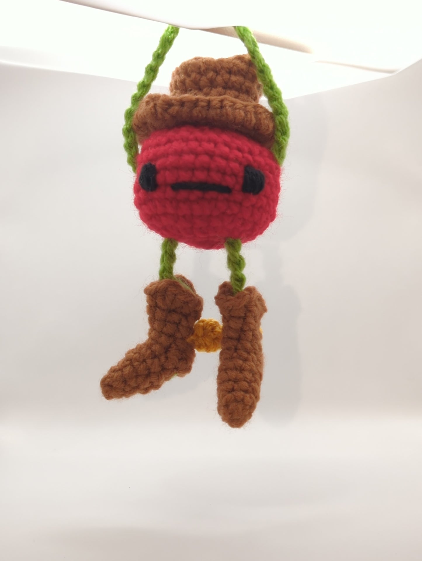 Tomato Bag Buddy!