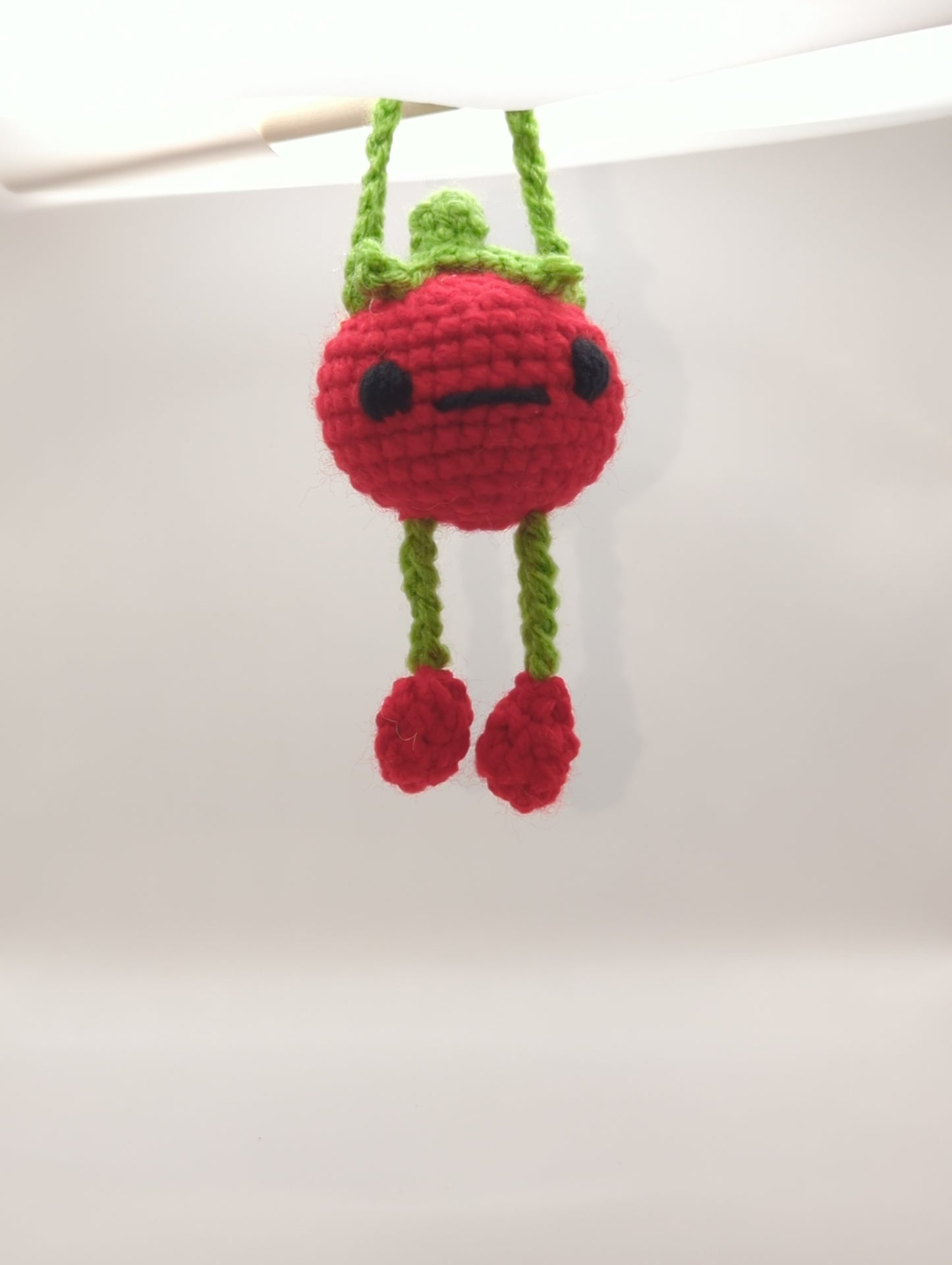 Tomato Bag Buddy!