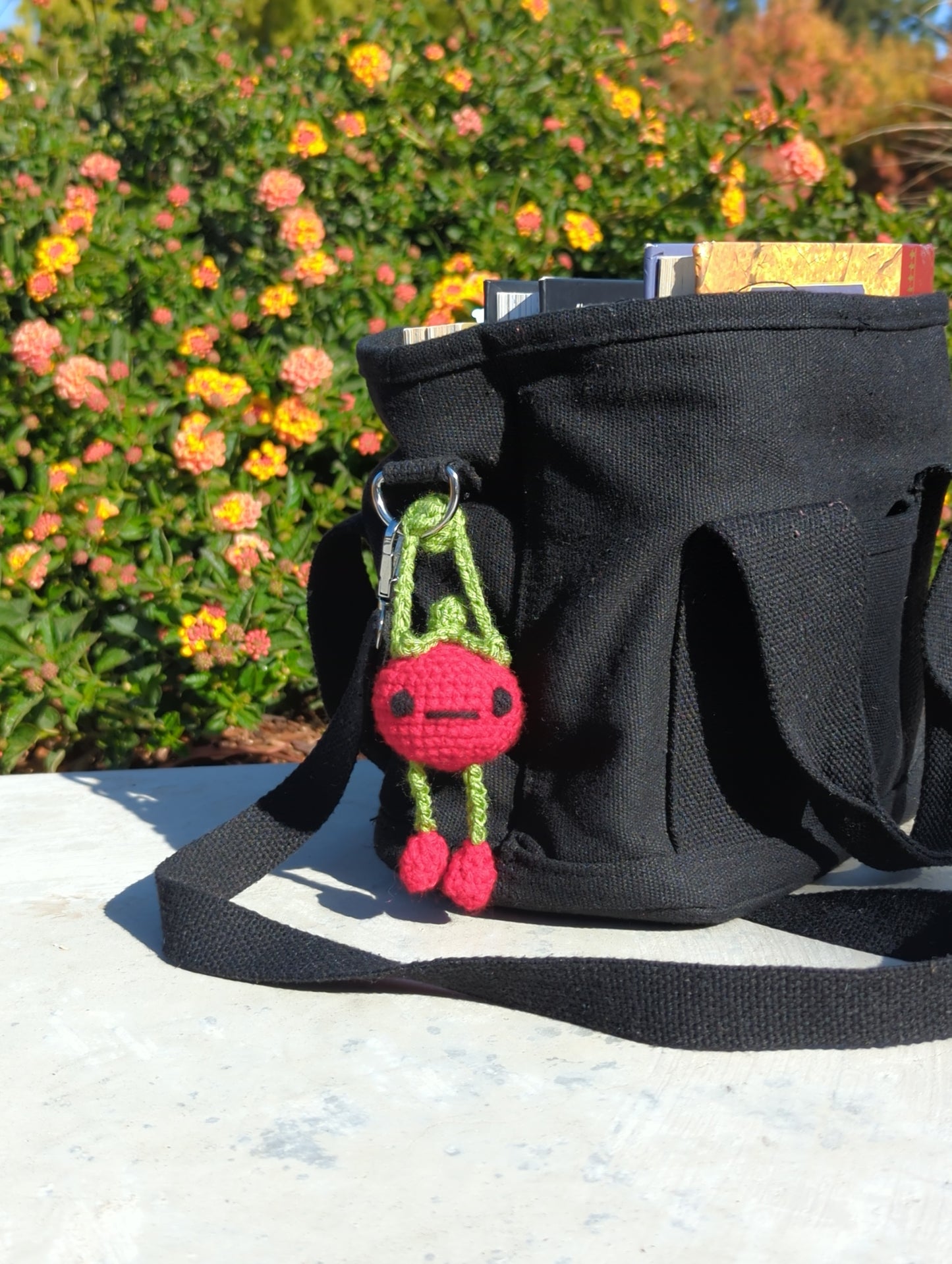 Tomato Bag Buddy!