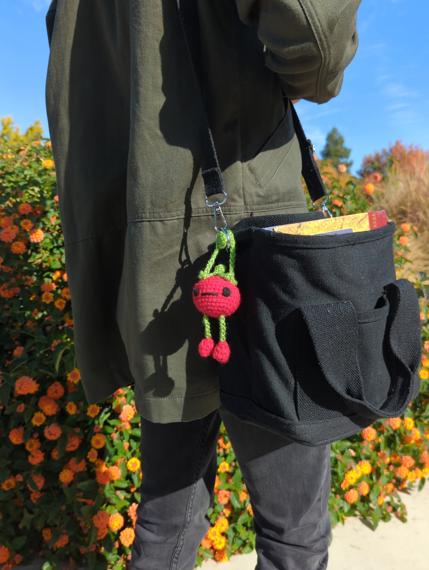 Tomato Bag Buddy!