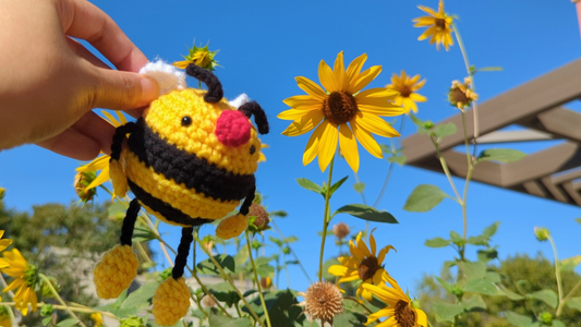 Dumbyworld is Changing!