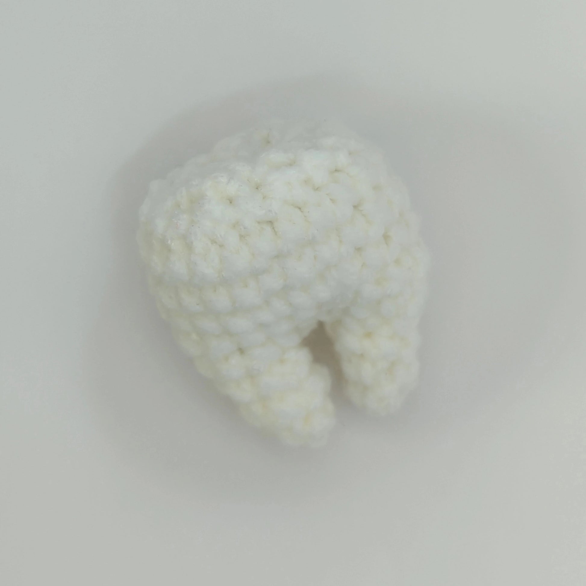 crocheted soft toy of a tooth