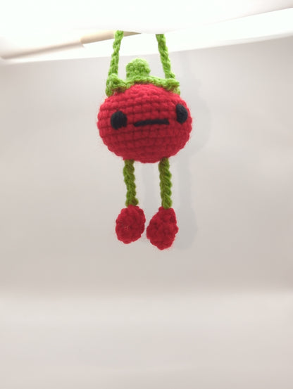 Tomato Bag Buddy!