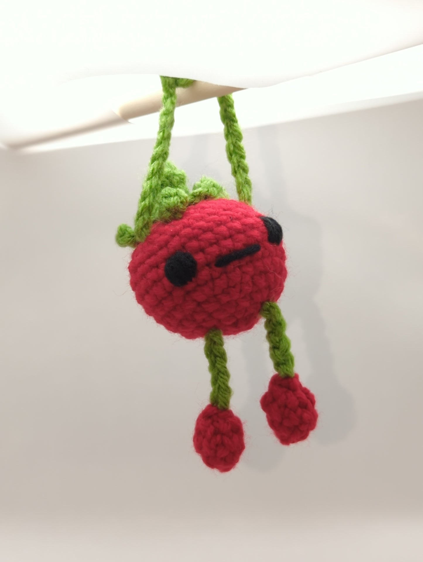 [B-Grade] Tomato Bag Buddy!