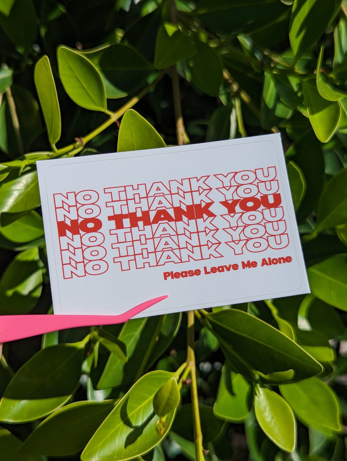 [Clearance] NO THANK YOU Sticker